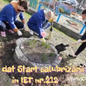 Lucrări de regenerare a Spațiilor verzi