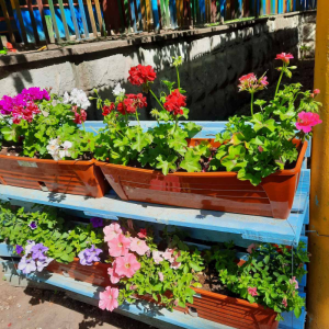 Teritoriul instituției preșcolare nr.212, str.N.M.Spătaru, 3/1 este colorat, salubrizat, amenajat, îngrijit și foarte curat !