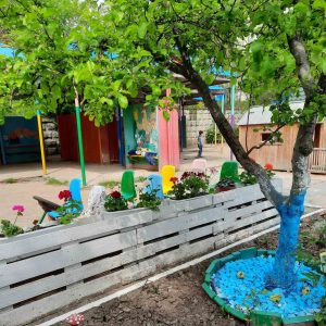 Terenul IET nr. 212 este amenajat cu multe flori și plante multianuale